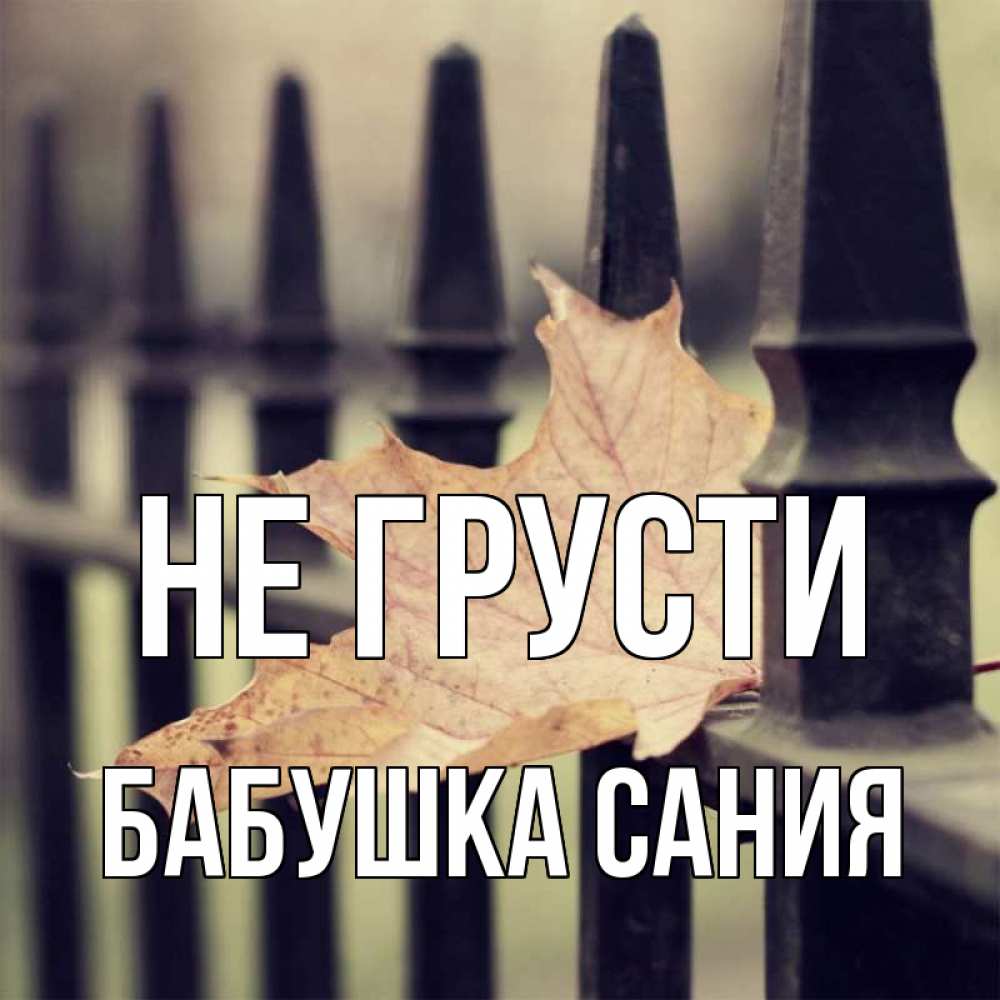 Открытка на каждый день с именем, Бабушка-Сания Не грусти лист клена Прикольная открытка с пожеланием онлайн скачать бесплатно 