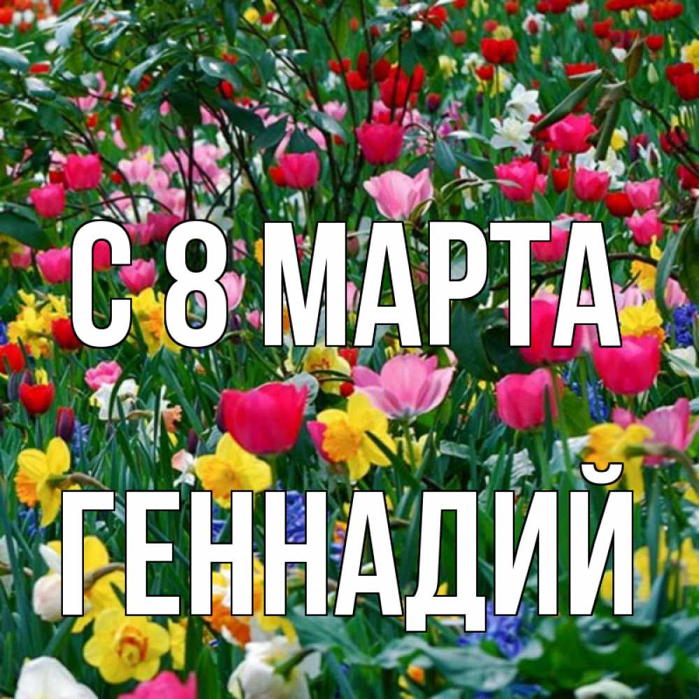Открытка на каждый день с именем, Геннадий С 8 МАРТА с международным женским днем поздравления для женщины Прикольная открытка с пожеланием онлайн скачать бесплатно 