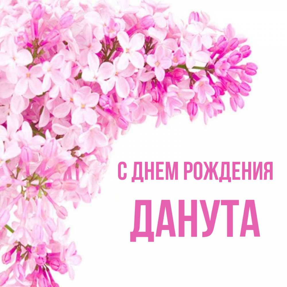 Открытка на каждый день с именем, Данута С днем рождения Сирень на белом фоне Прикольная открытка с пожеланием онлайн скачать бесплатно 