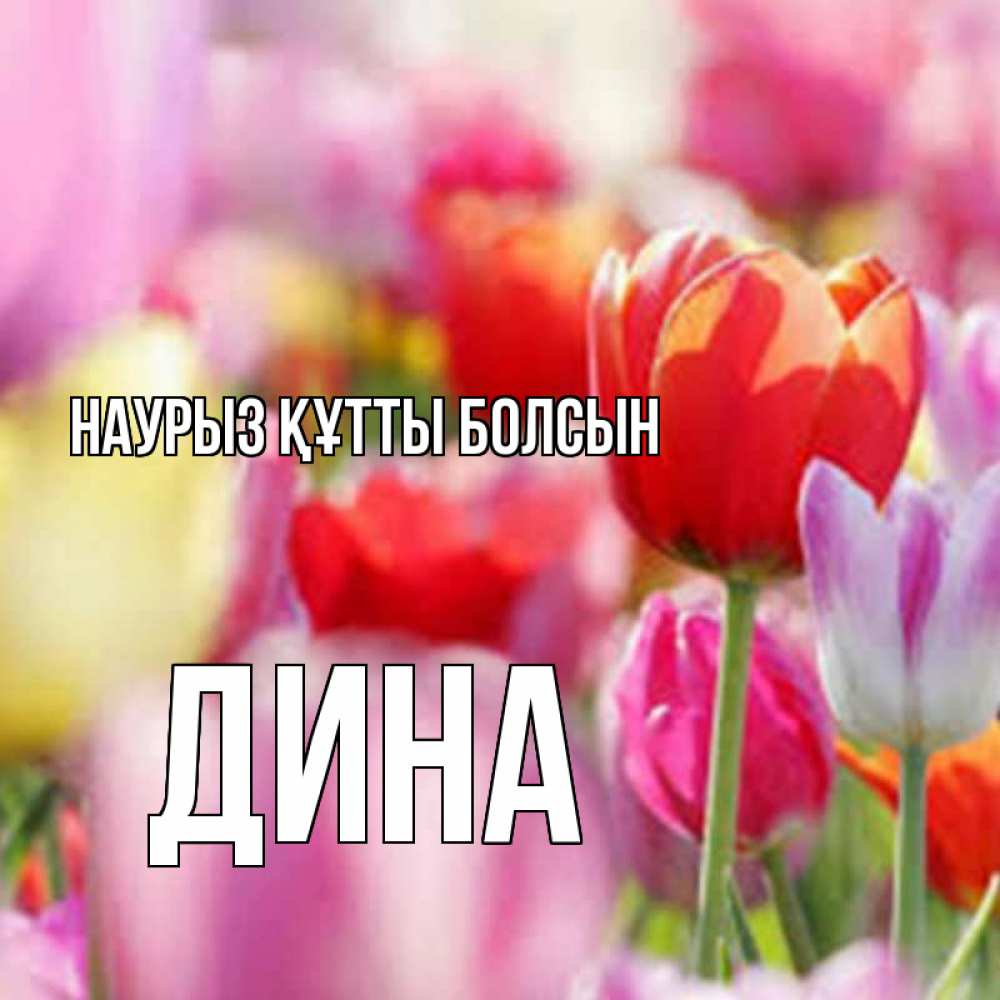 Открытка на каждый день с именем, Дина Наурыз құтты болсын на наурыз  2 Прикольная открытка с пожеланием онлайн скачать бесплатно 