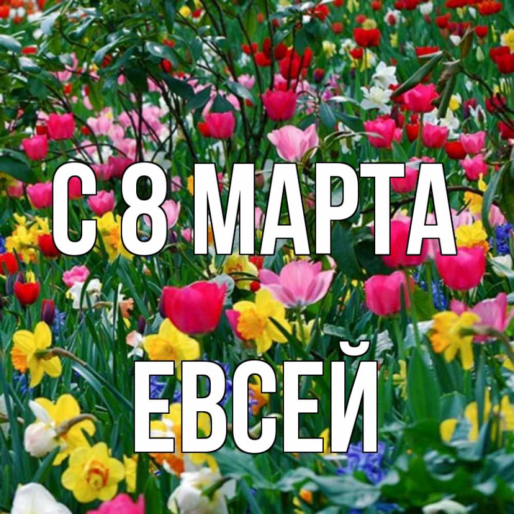 Открытка на каждый день с именем, Евсей С 8 МАРТА с международным женским днем поздравления для женщины Прикольная открытка с пожеланием онлайн скачать бесплатно 