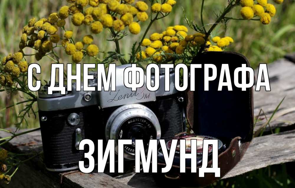 Открытка на каждый день с именем, Зигмунд С днем фотографа с днем фотографа Прикольная открытка с пожеланием онлайн скачать бесплатно 