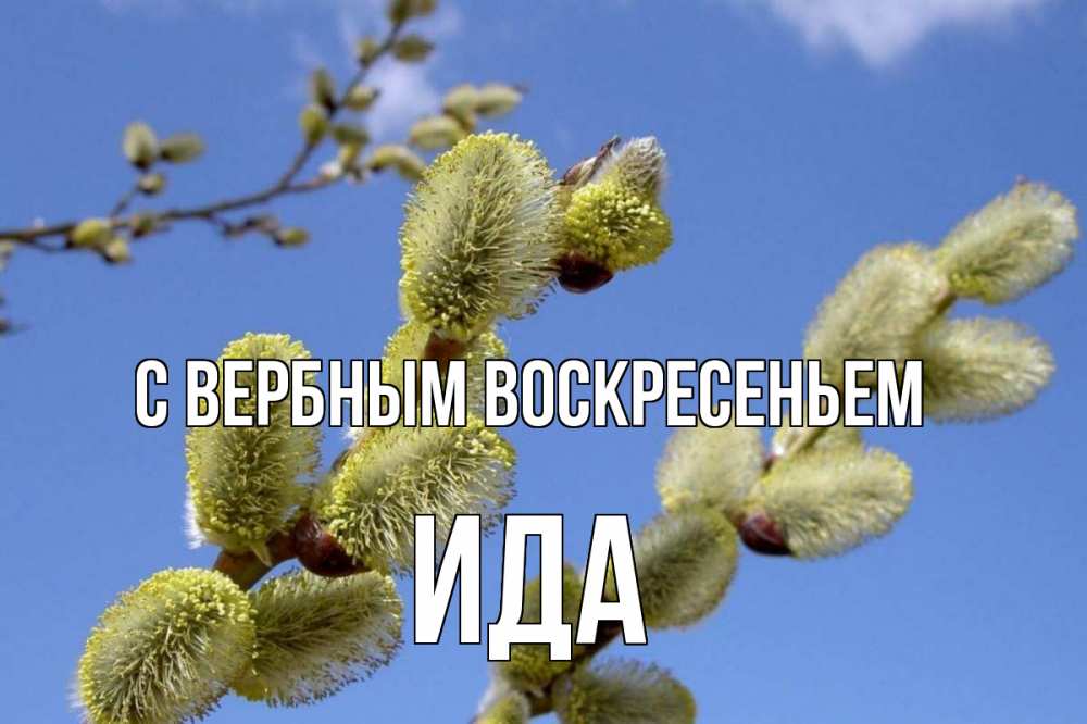 Открытка на каждый день с именем, Ида С вербным воскресеньем верба Прикольная открытка с пожеланием онлайн скачать бесплатно 