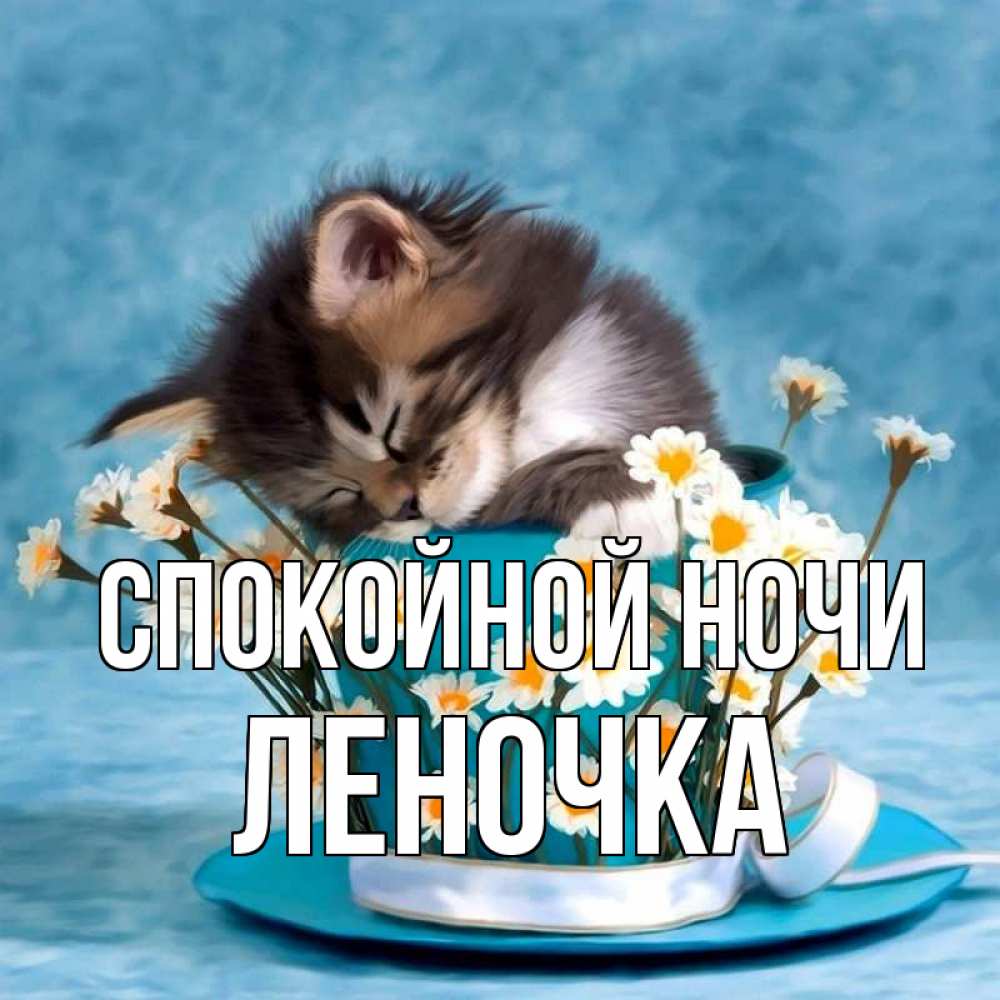 Открытка на каждый день с именем, Леночка Спокойной ночи котенок спит в кружке с блюдцем Прикольная открытка с пожеланием онлайн скачать бесплатно 