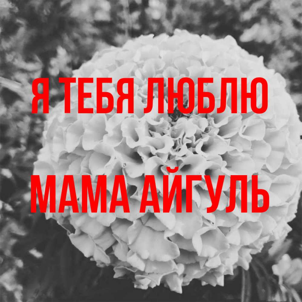 Открытка на каждый день с именем, Мама-Айгуль Я тебя люблю подпись Прикольная открытка с пожеланием онлайн скачать бесплатно 