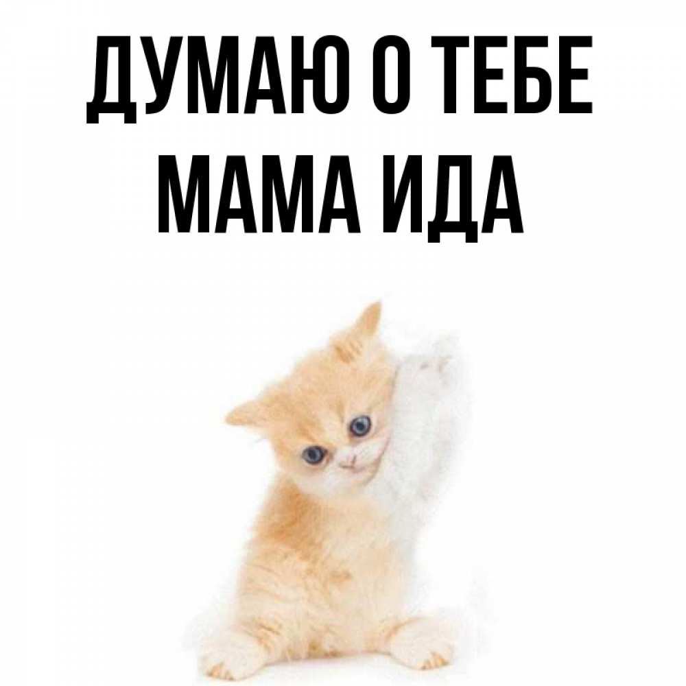 Открытка на каждый день с именем, Мама-Ида Думаю о тебе зверушки и милота Прикольная открытка с пожеланием онлайн скачать бесплатно 