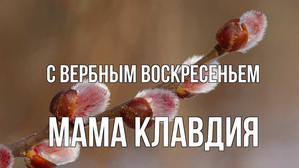 Открытка на каждый день с именем, Мама-Клавдия С вербным воскресеньем верба Прикольная открытка с пожеланием онлайн скачать бесплатно 