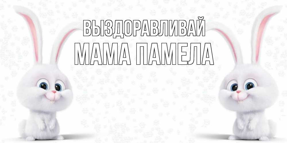 Открытка на каждый день с именем, Мама-Памела Выздоравливай не болей с зайцем Прикольная открытка с пожеланием онлайн скачать бесплатно 