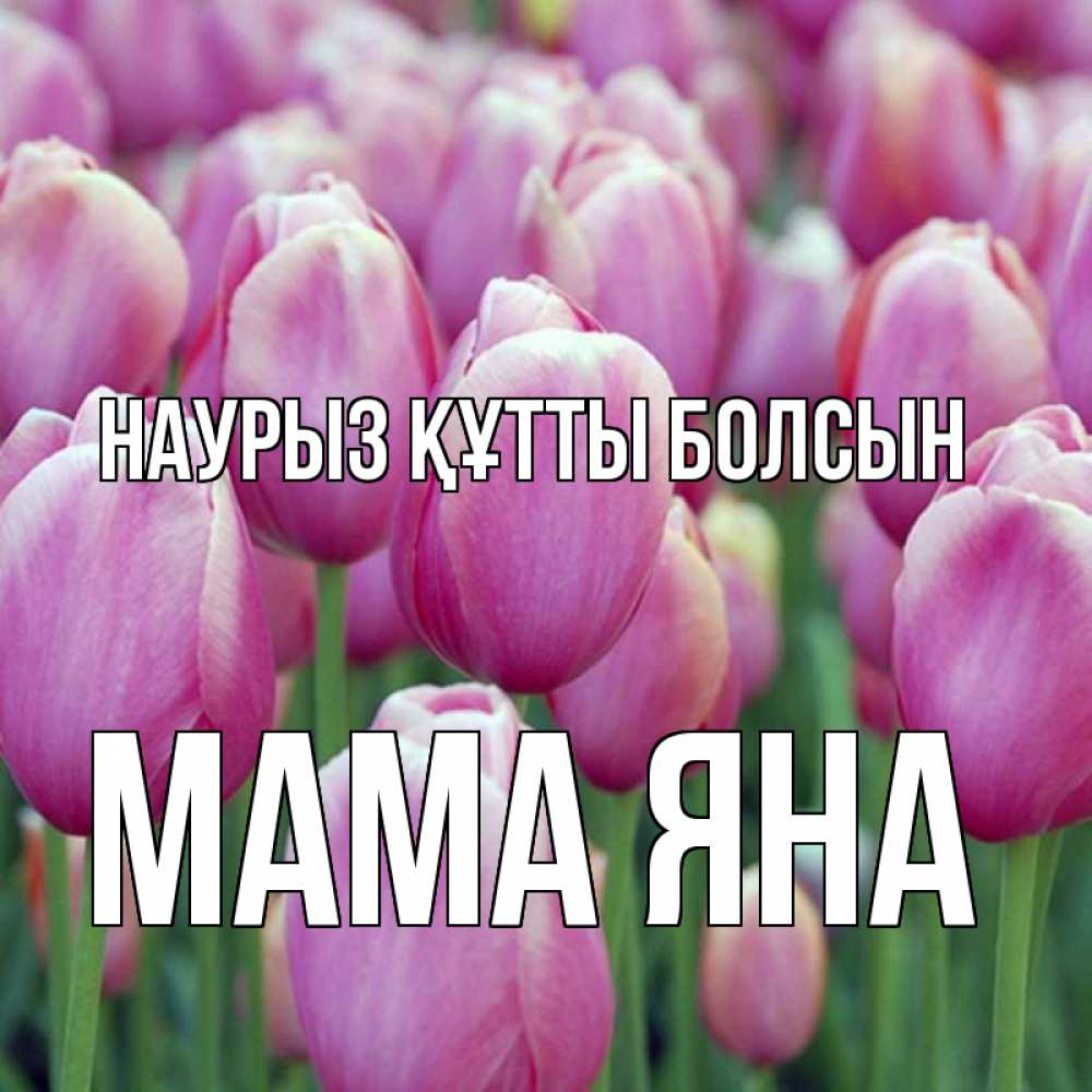 Открытка на каждый день с именем, Мама-Яна Наурыз құтты болсын на наурыз  день 3 Прикольная открытка с пожеланием онлайн скачать бесплатно 