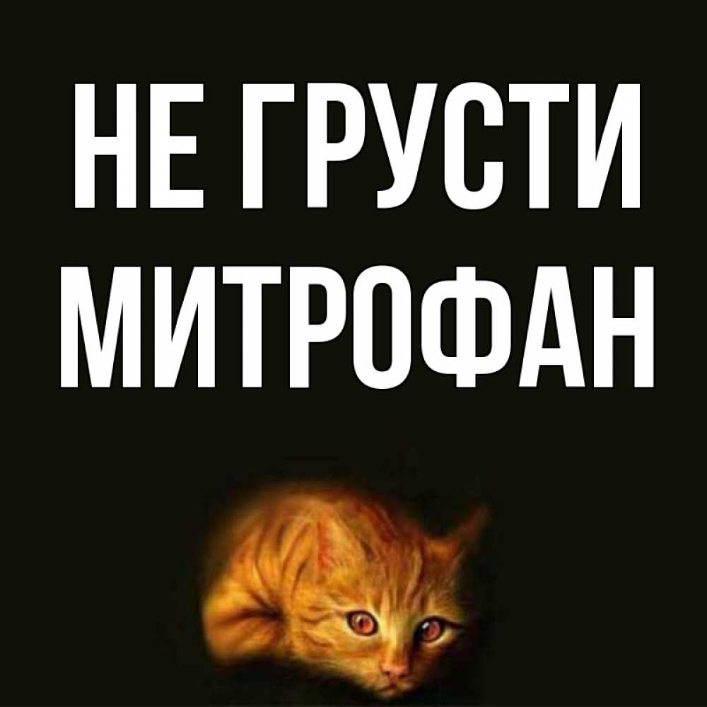 Открытка на каждый день с именем, Митрофан Не грусти лежащий кот в темноте Прикольная открытка с пожеланием онлайн скачать бесплатно 