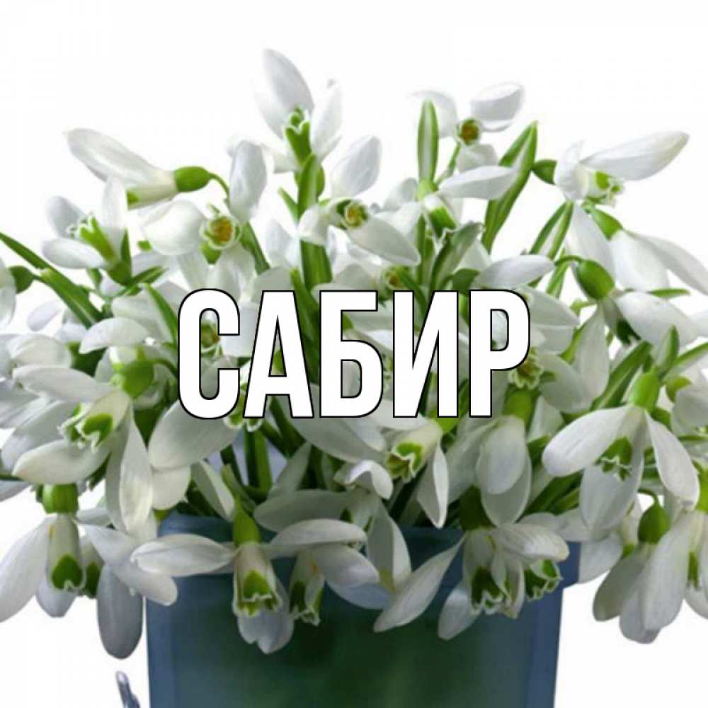 Открытка на каждый день с именем, Сабир Главная цветы к наурызу Прикольная открытка с пожеланием онлайн скачать бесплатно 