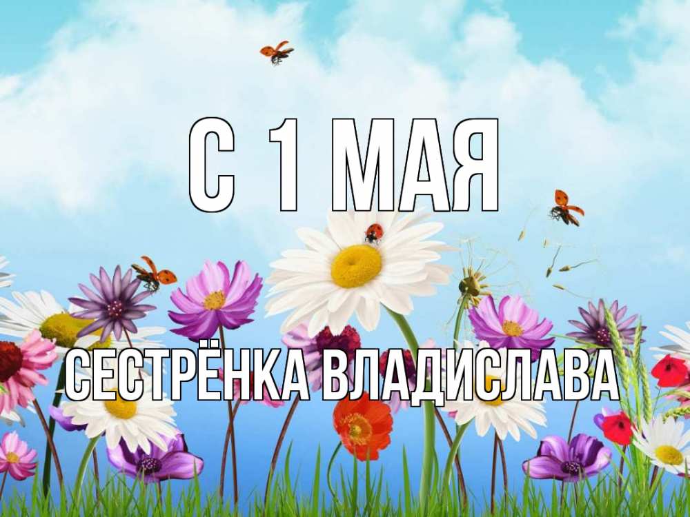 Открытка на каждый день с именем, Сестрёнка-Владислава С 1 мая С 1 мая Прикольная открытка с пожеланием онлайн скачать бесплатно 
