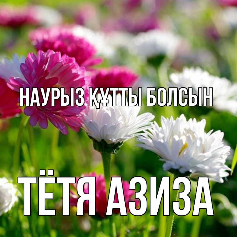 Открытка на каждый день с именем, Тётя-Азиза Наурыз құтты болсын наурыз Прикольная открытка с пожеланием онлайн скачать бесплатно 