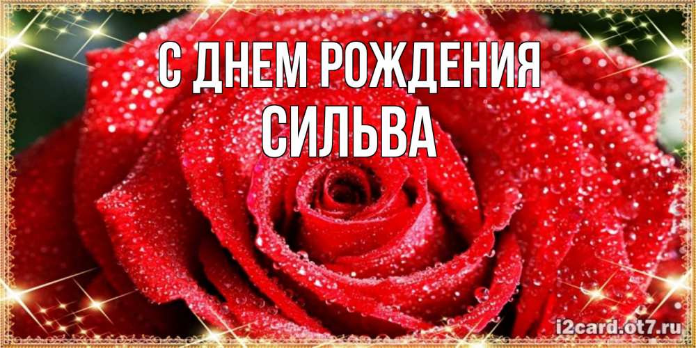 Открытка на каждый день с именем, сильва С днем рождения роса и роза. открытка с красивой розой Прикольная открытка с пожеланием онлайн скачать бесплатно 