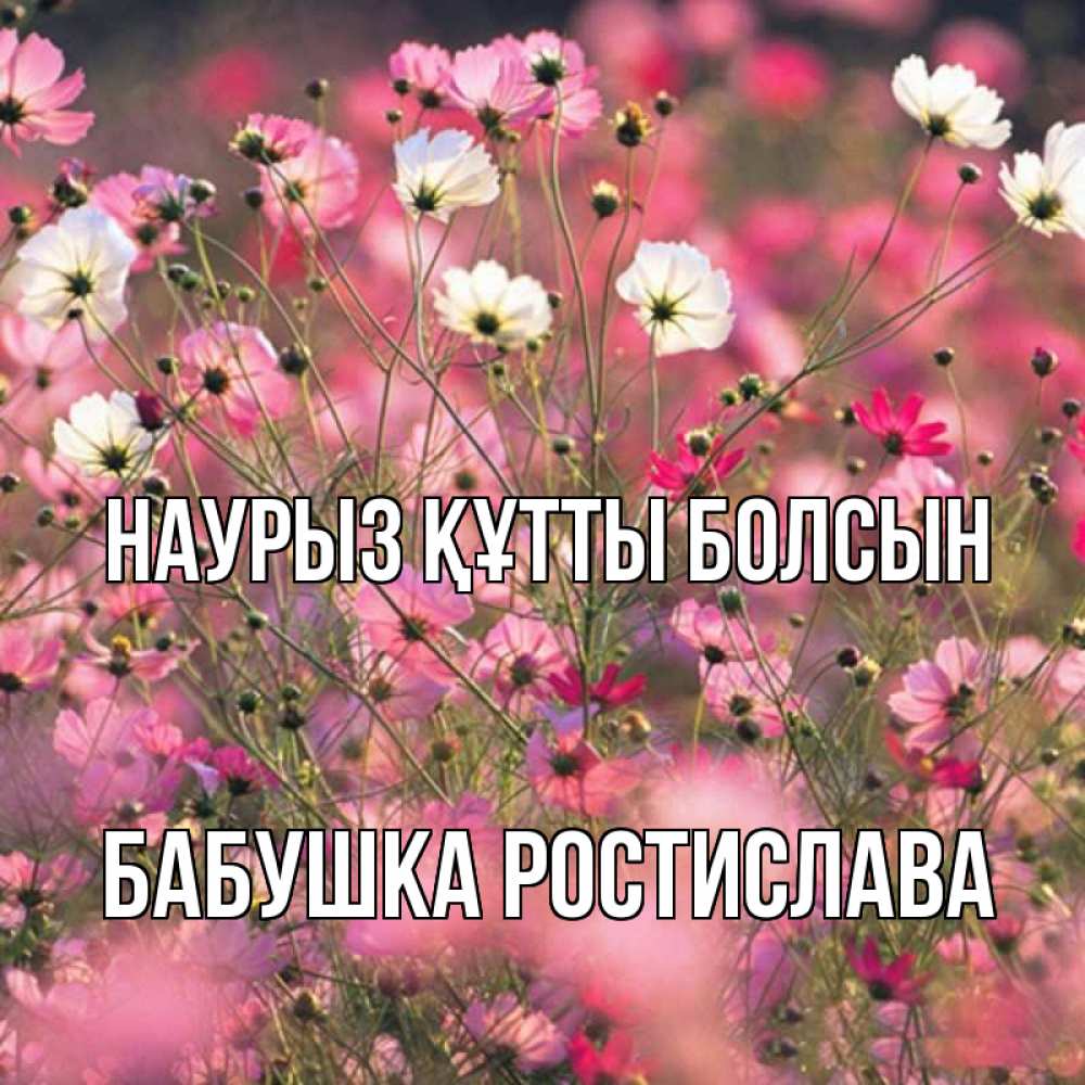 Открытка на каждый день с именем, Бабушка-Ростислава Наурыз құтты болсын красиво 1 Прикольная открытка с пожеланием онлайн скачать бесплатно 