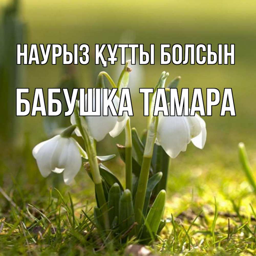 Открытка на каждый день с именем, Бабушка-Тамара Наурыз құтты болсын ранние цветы 2 Прикольная открытка с пожеланием онлайн скачать бесплатно 