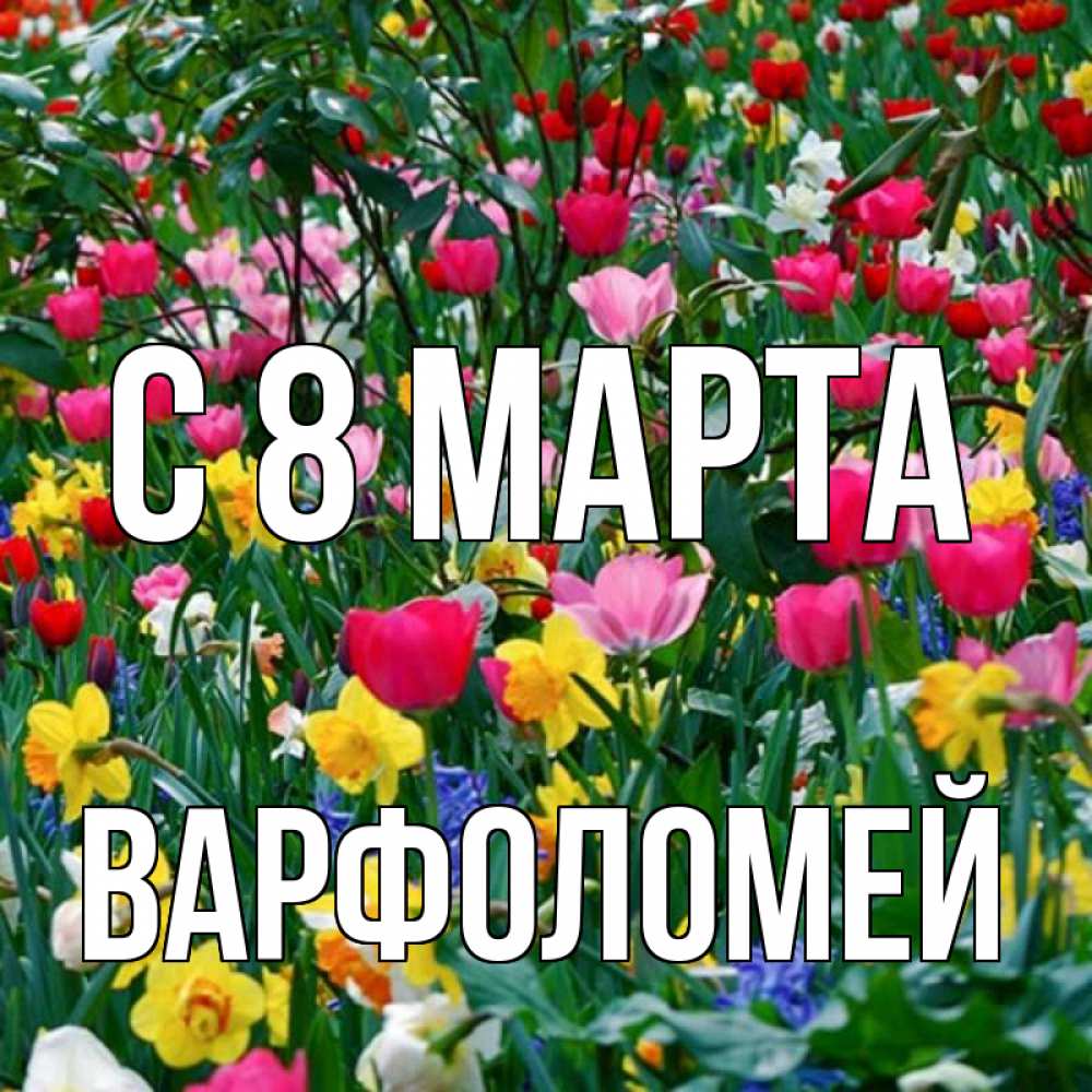 Открытка на каждый день с именем, Варфоломей С 8 МАРТА с международным женским днем поздравления для женщины Прикольная открытка с пожеланием онлайн скачать бесплатно 