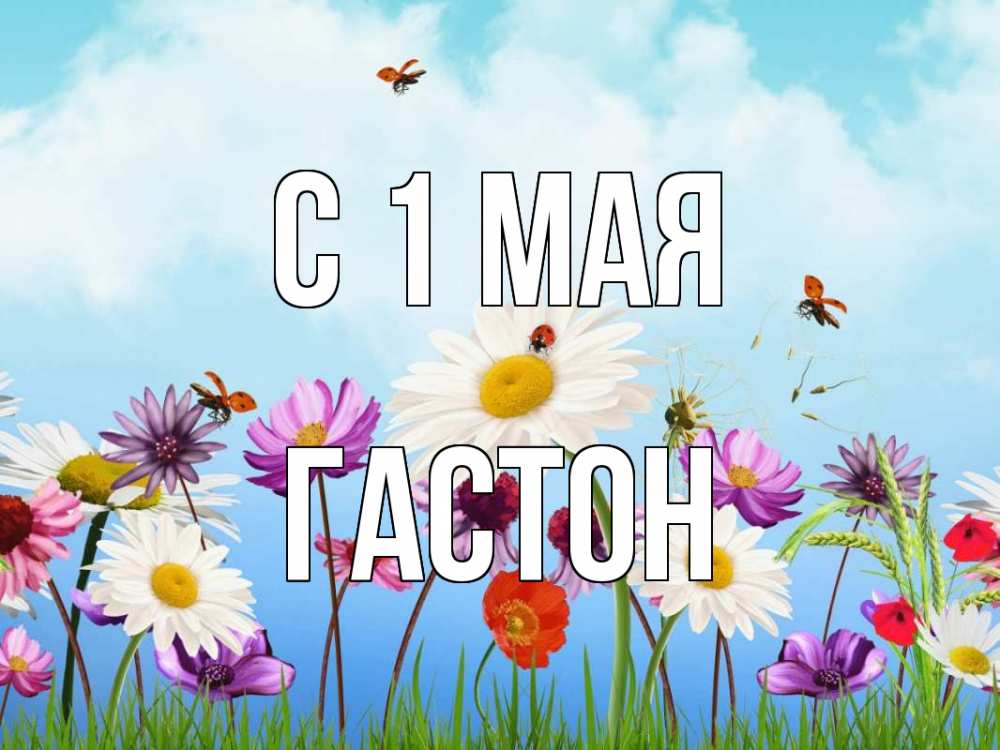 Открытка на каждый день с именем, Гастон С 1 мая С 1 мая Прикольная открытка с пожеланием онлайн скачать бесплатно 