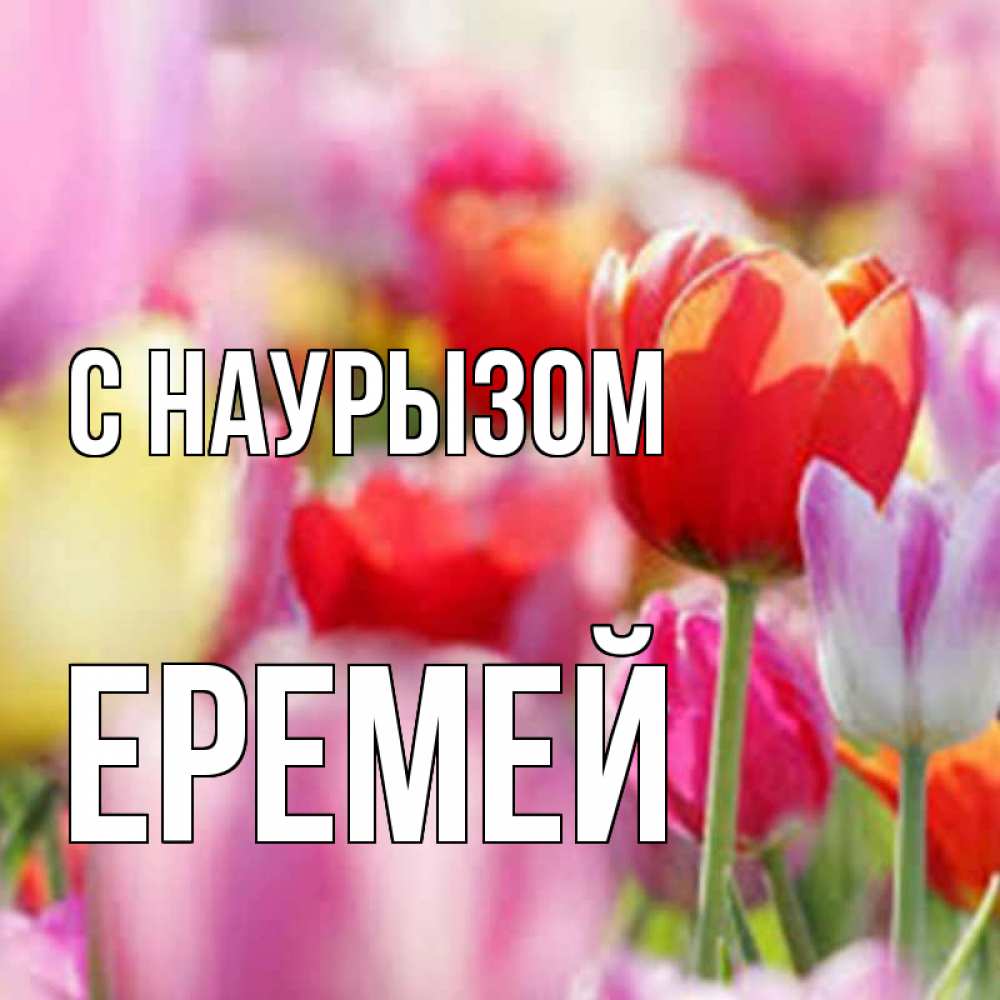Открытка на каждый день с именем, Еремей С наурызом праздник весны наурыз 67 Прикольная открытка с пожеланием онлайн скачать бесплатно 