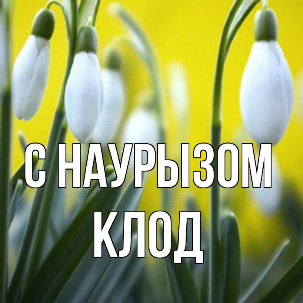 Открытка на каждый день с именем, Клод С наурызом весенние цветы Прикольная открытка с пожеланием онлайн скачать бесплатно 