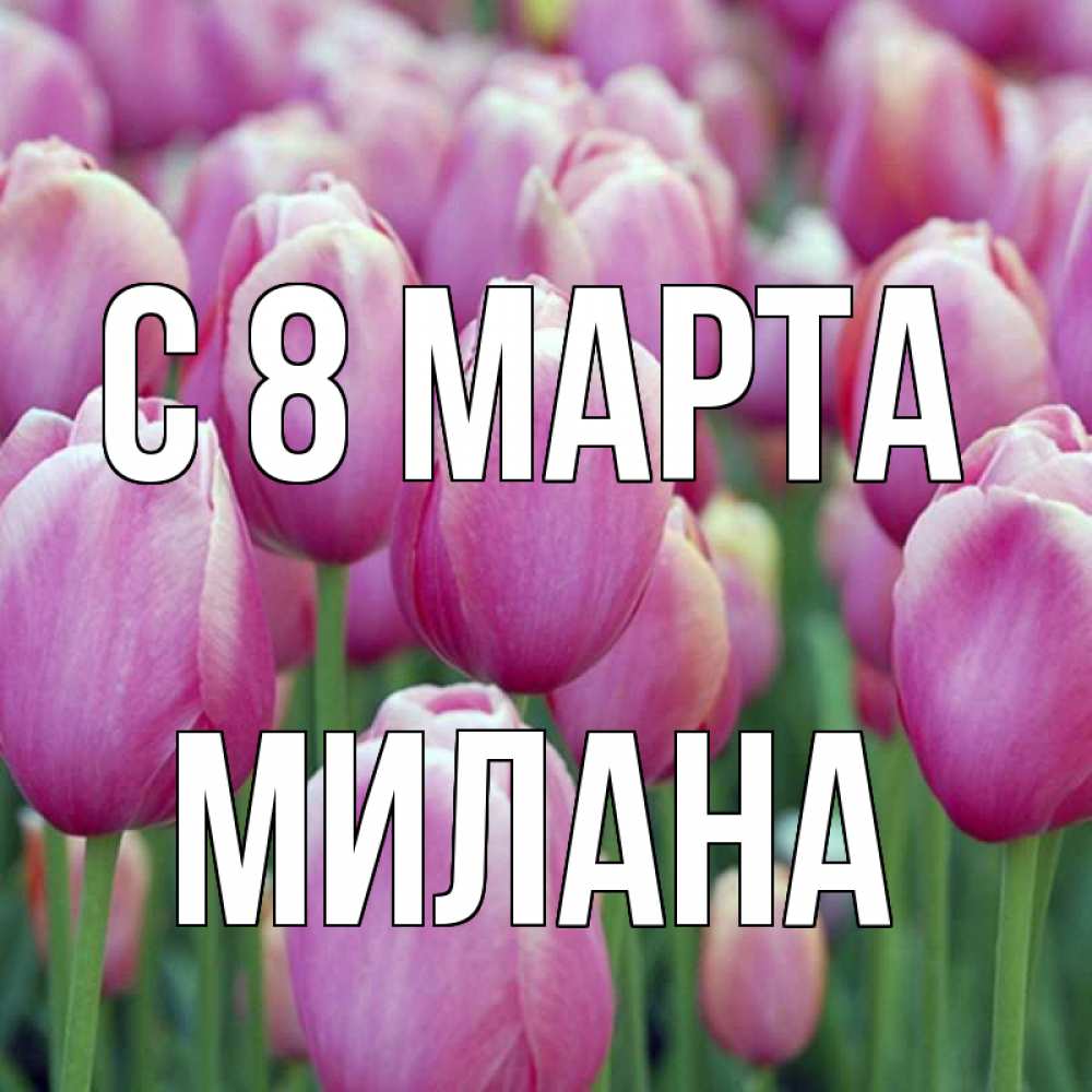 Открытка на каждый день с именем, Милана С 8 МАРТА на международный женский день 3 Прикольная открытка с пожеланием онлайн скачать бесплатно 