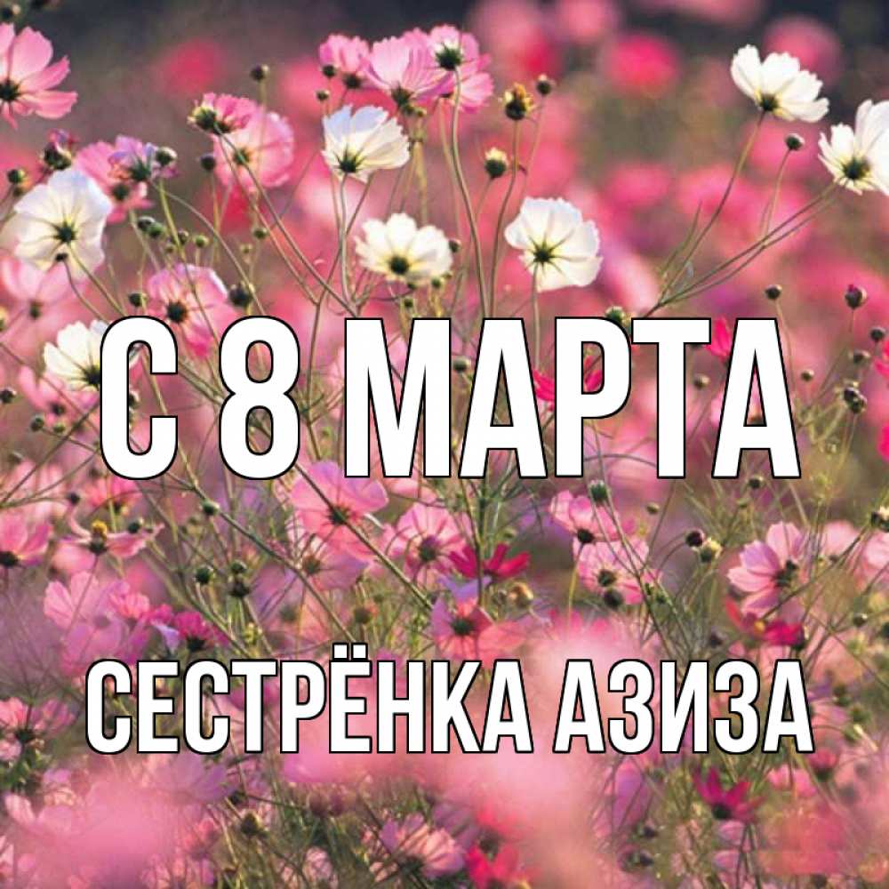 Открытка на каждый день с именем, Сестрёнка-Азиза С 8 МАРТА красиво 1 Прикольная открытка с пожеланием онлайн скачать бесплатно 