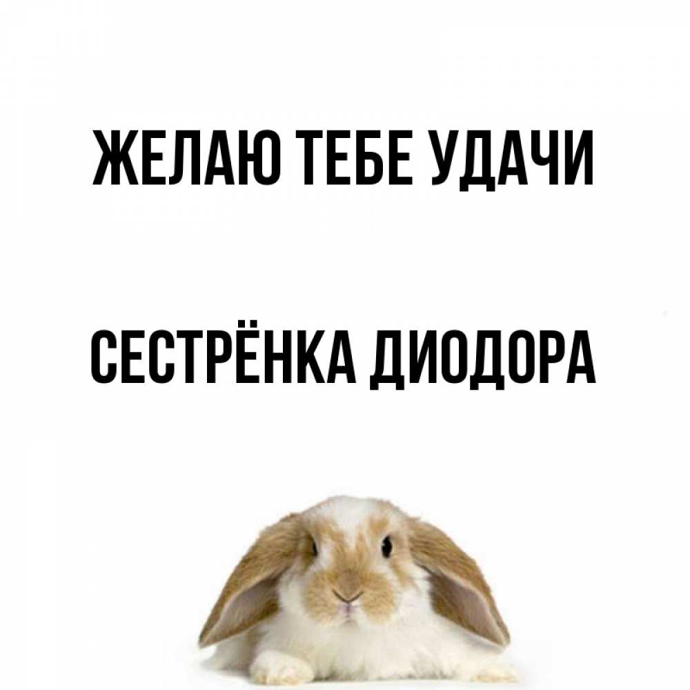 Открытка на каждый день с именем, Сестрёнка-Диодора Желаю тебе удачи открытки с произвольным текстом который можно вставить в открытку и создать ее самостоятельно бесплатно онлайн Прикольная открытка с пожеланием онлайн скачать бесплатно 