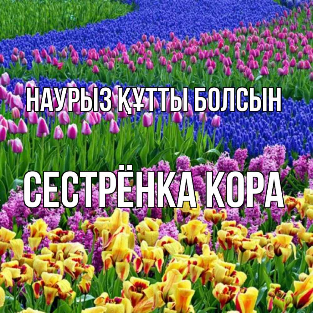 Открытка на каждый день с именем, Сестрёнка-Кора Наурыз құтты болсын цветы Прикольная открытка с пожеланием онлайн скачать бесплатно 