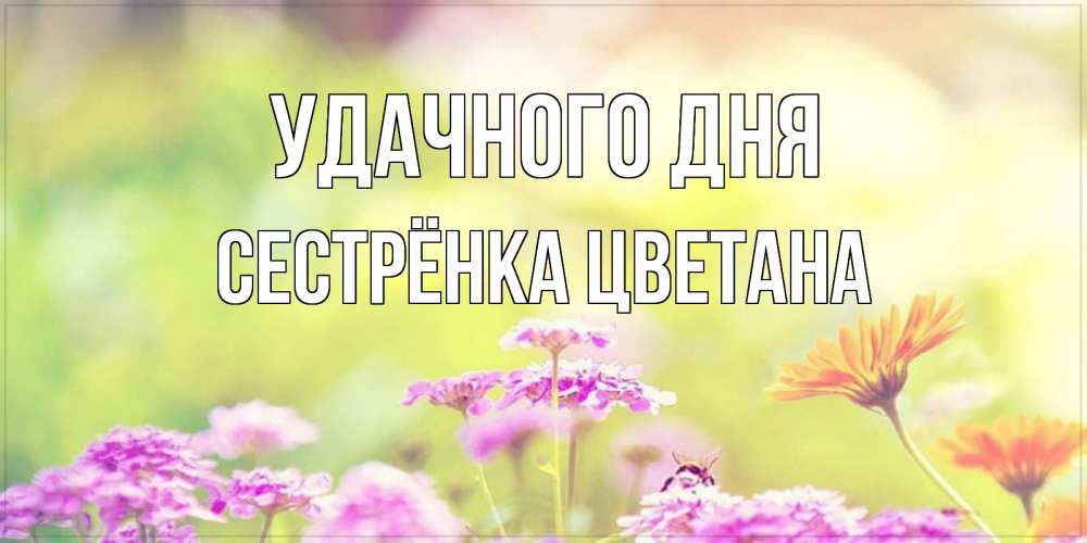 Открытка на каждый день с именем, Сестрёнка-Цветана Удачного дня красивая открытка с летней темой Прикольная открытка с пожеланием онлайн скачать бесплатно 