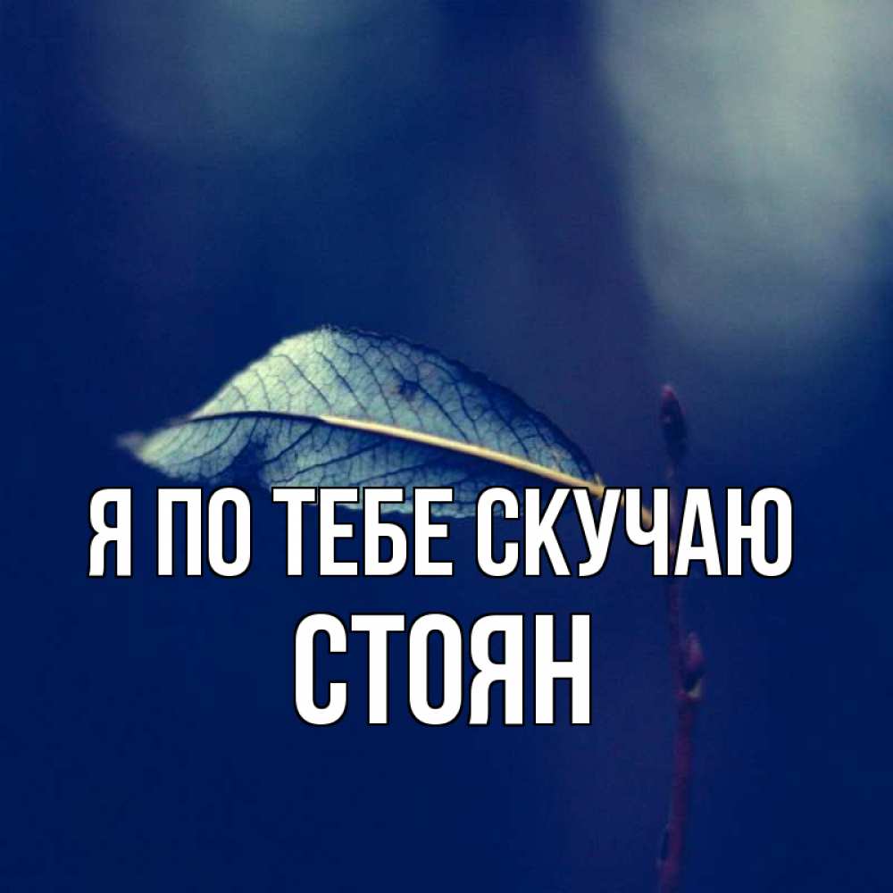 Открытка на каждый день с именем, Стоян Я по тебе скучаю одна ветка 1 Прикольная открытка с пожеланием онлайн скачать бесплатно 