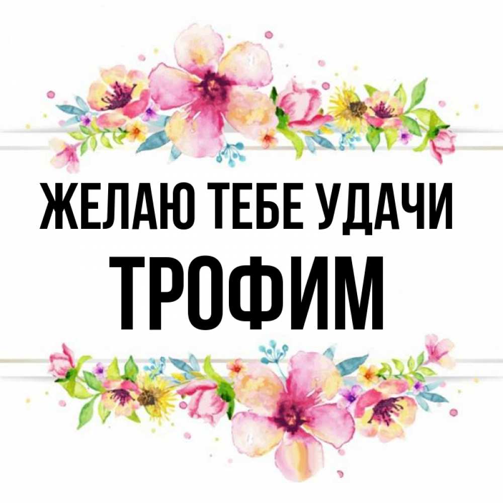 Открытка на каждый день с именем, Трофим Желаю тебе удачи пусть повезет 1 Прикольная открытка с пожеланием онлайн скачать бесплатно 
