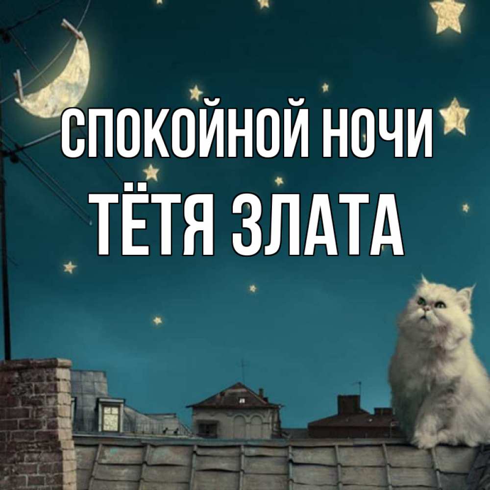 Открытка на каждый день с именем, Тётя-Злата Спокойной ночи белый кот сидит на крыше Прикольная открытка с пожеланием онлайн скачать бесплатно 