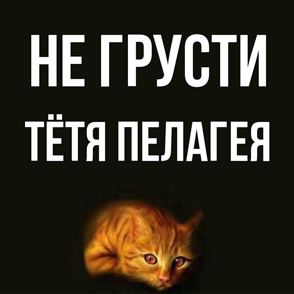 Открытка на каждый день с именем, Тётя-Пелагея Не грусти лежащий кот в темноте Прикольная открытка с пожеланием онлайн скачать бесплатно 