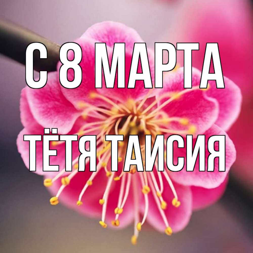 Открытка на каждый день с именем, Тётя-Таисия С 8 марта цветы Прикольная открытка с пожеланием онлайн скачать бесплатно 