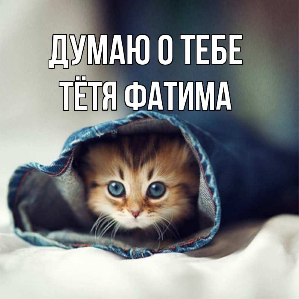 Открытка на каждый день с именем, Тётя-Фатима Думаю о тебе мне без тебя плохо Прикольная открытка с пожеланием онлайн скачать бесплатно 