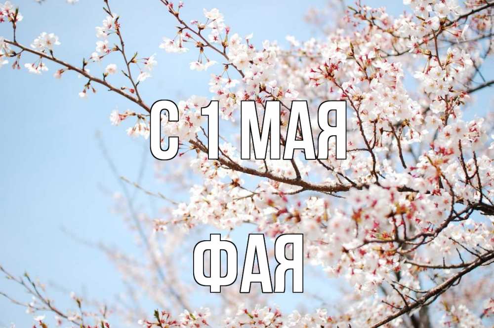 Открытка на каждый день с именем, Фая С 1 мая С 1 мая Прикольная открытка с пожеланием онлайн скачать бесплатно 