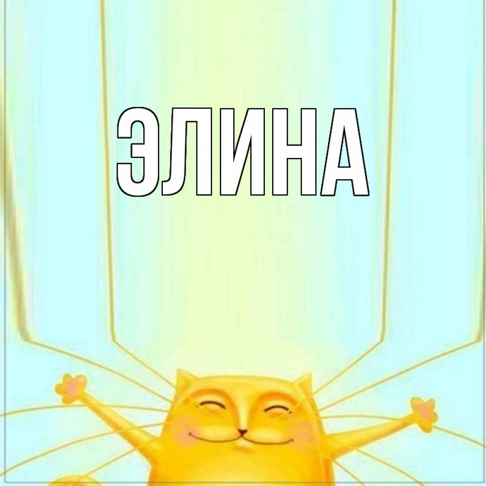Открытка на каждый день с именем, Элина Главная кот с усами благодарит Прикольная открытка с пожеланием онлайн скачать бесплатно 