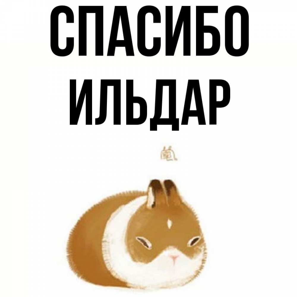 Привет ильдар картинки
