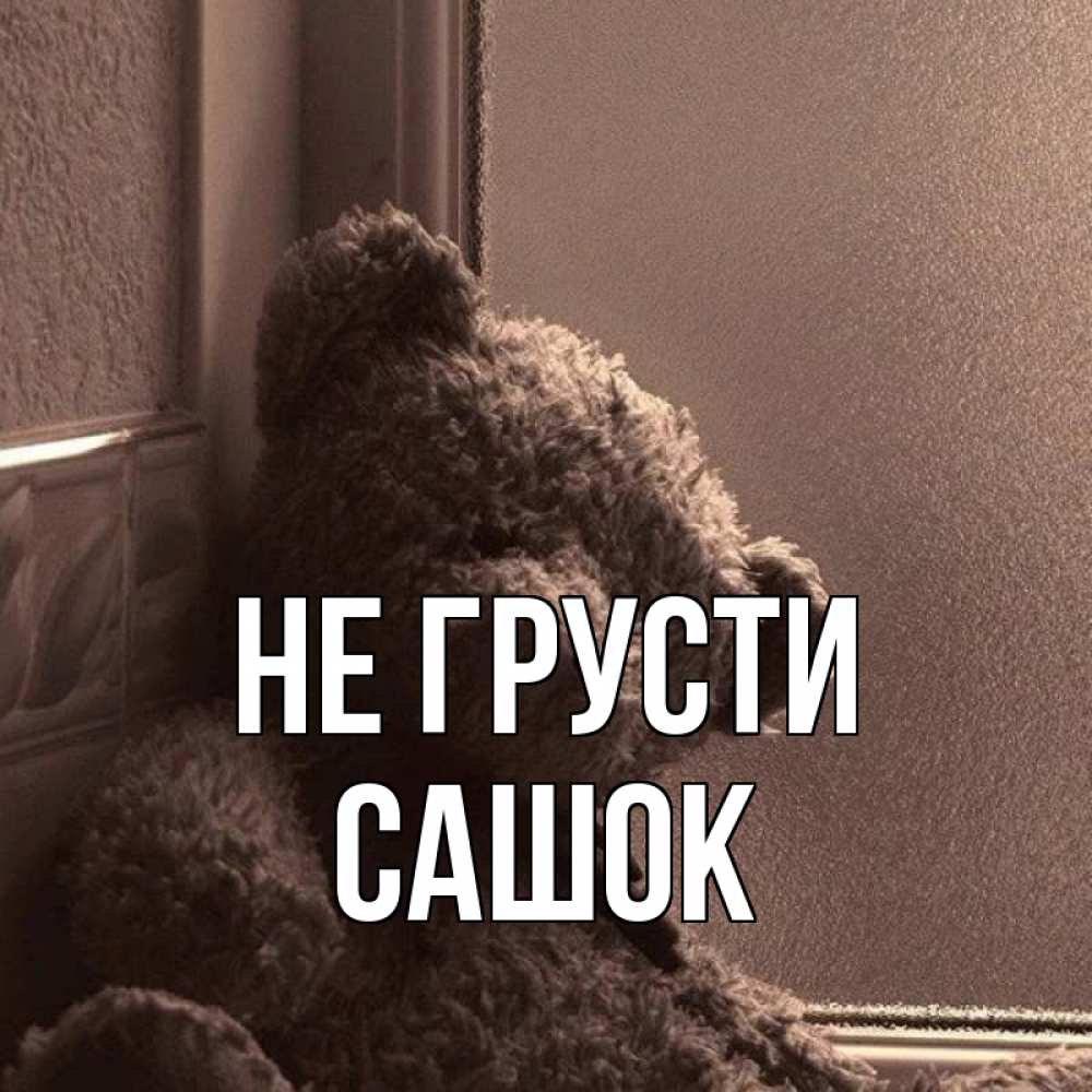 Сашка не грусти картинки
