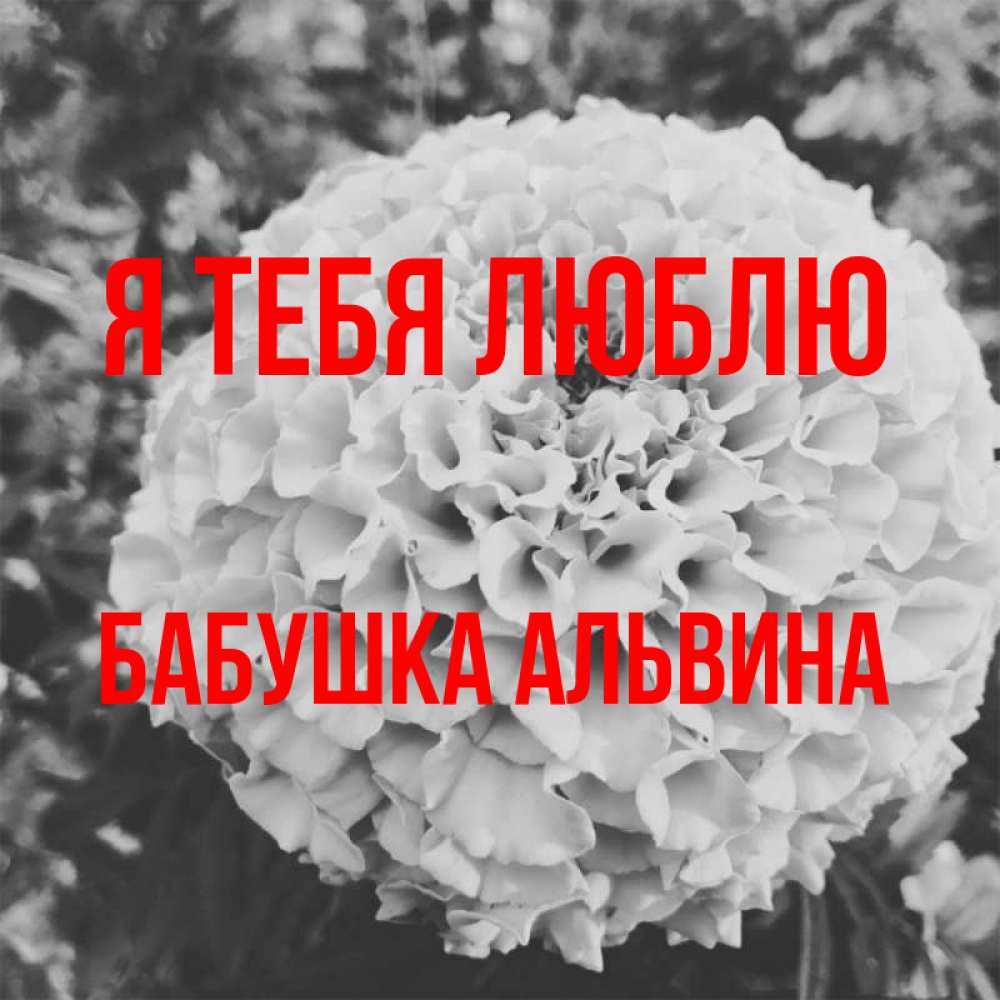 Открытка на каждый день с именем, Бабушка-Альвина Я тебя люблю подпись Прикольная открытка с пожеланием онлайн скачать бесплатно 