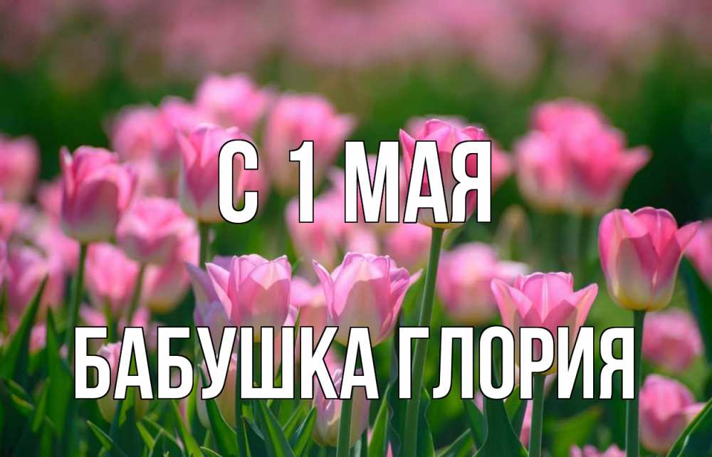 Открытка на каждый день с именем, Бабушка-Глория С 1 мая С 1 мая Прикольная открытка с пожеланием онлайн скачать бесплатно 