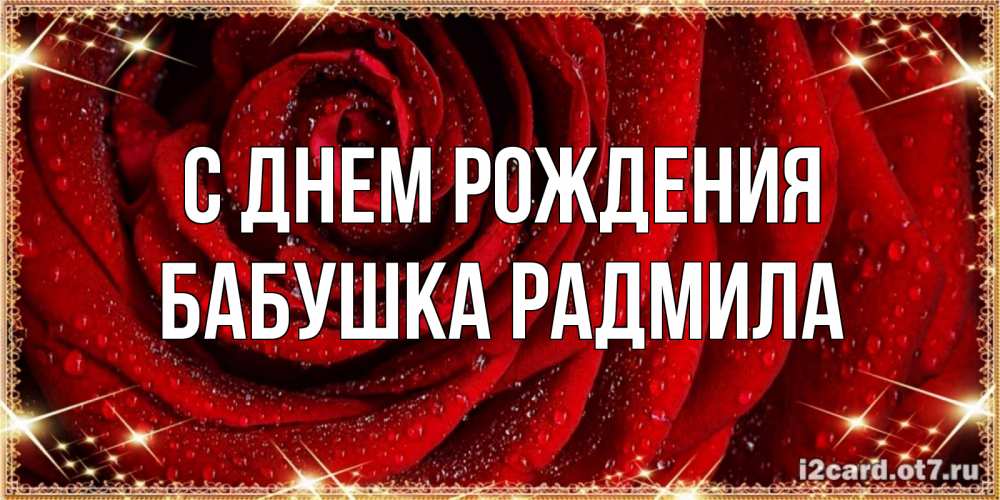 Открытка на каждый день с именем, Бабушка-Радмила С днем рождения роса на розе блестящая в лучах солнца Прикольная открытка с пожеланием онлайн скачать бесплатно 