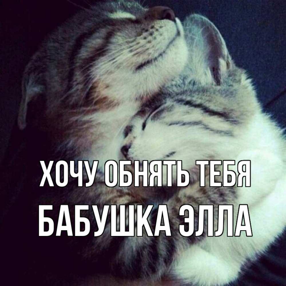 Открытка на каждый день с именем, Бабушка-Элла Хочу обнять тебя полосатики Прикольная открытка с пожеланием онлайн скачать бесплатно 