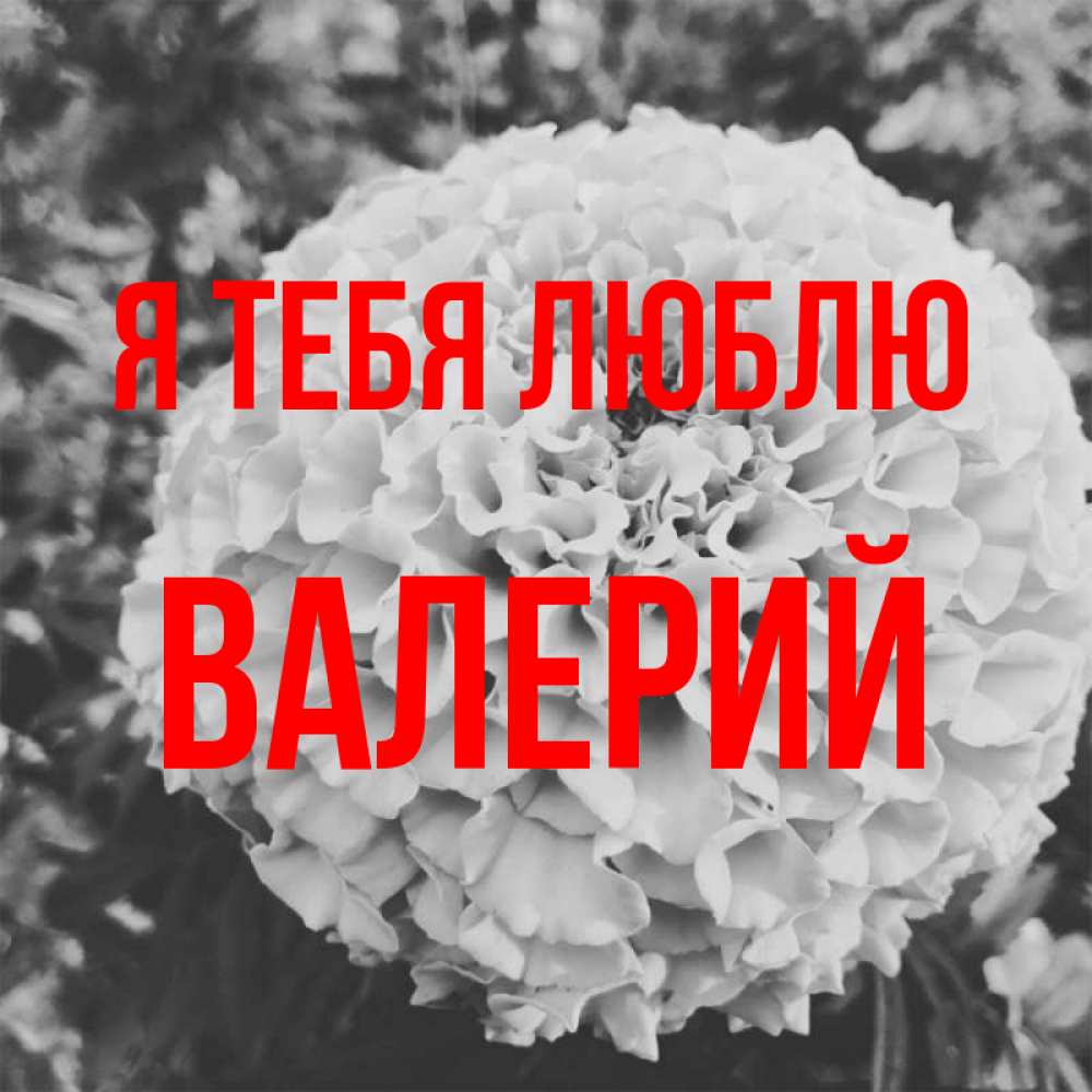 Открытка на каждый день с именем, Валерий Я тебя люблю подпись Прикольная открытка с пожеланием онлайн скачать бесплатно 