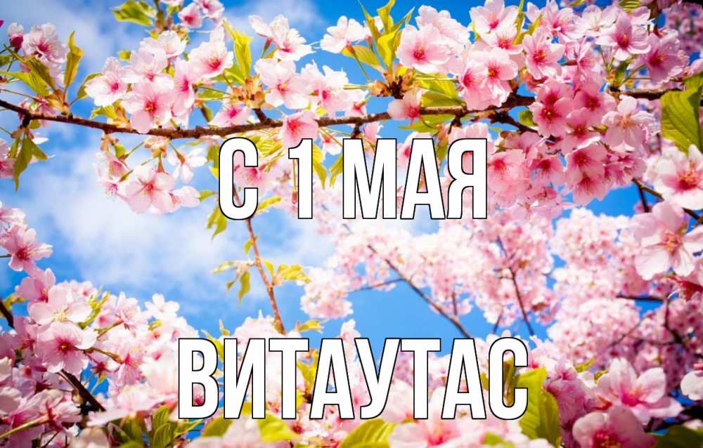 Открытка на каждый день с именем, Витаутас С 1 мая С 1 мая Прикольная открытка с пожеланием онлайн скачать бесплатно 