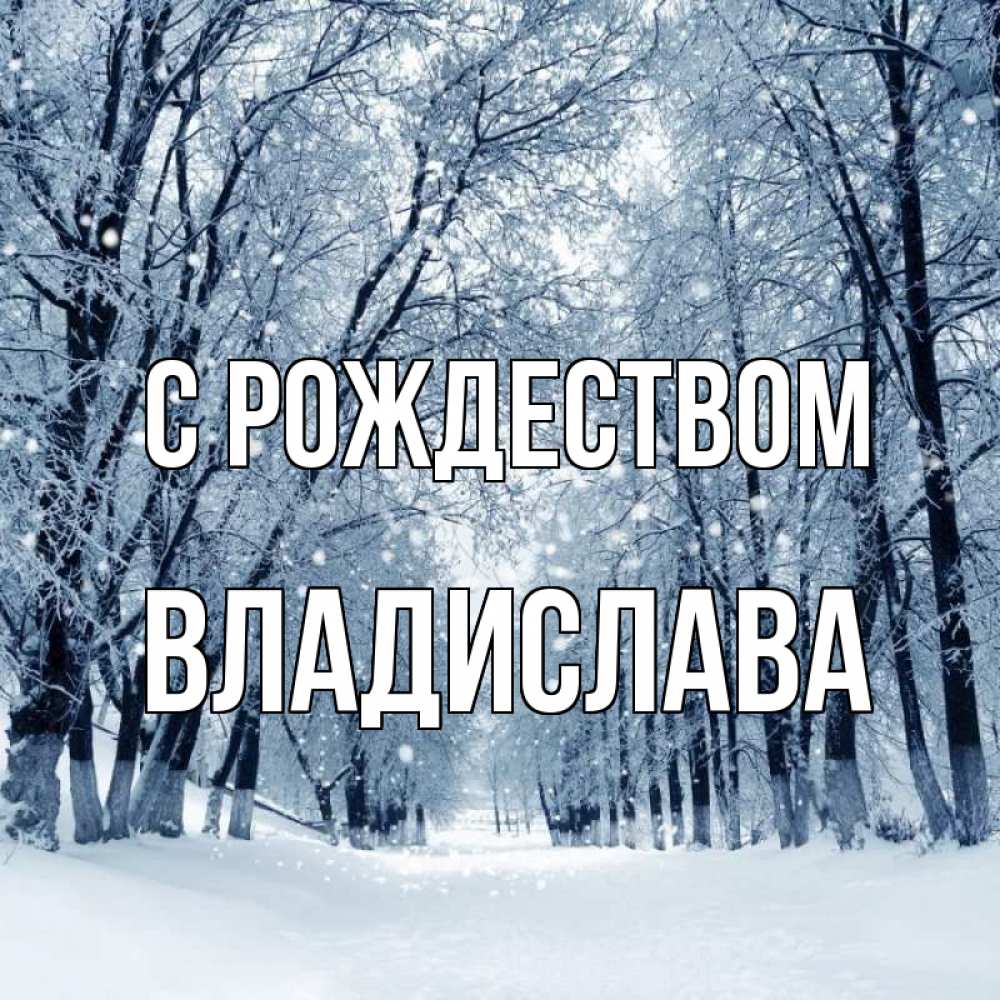 Открытка на каждый день с именем, Владислава С рождеством снег, лес, парк Прикольная открытка с пожеланием онлайн скачать бесплатно 