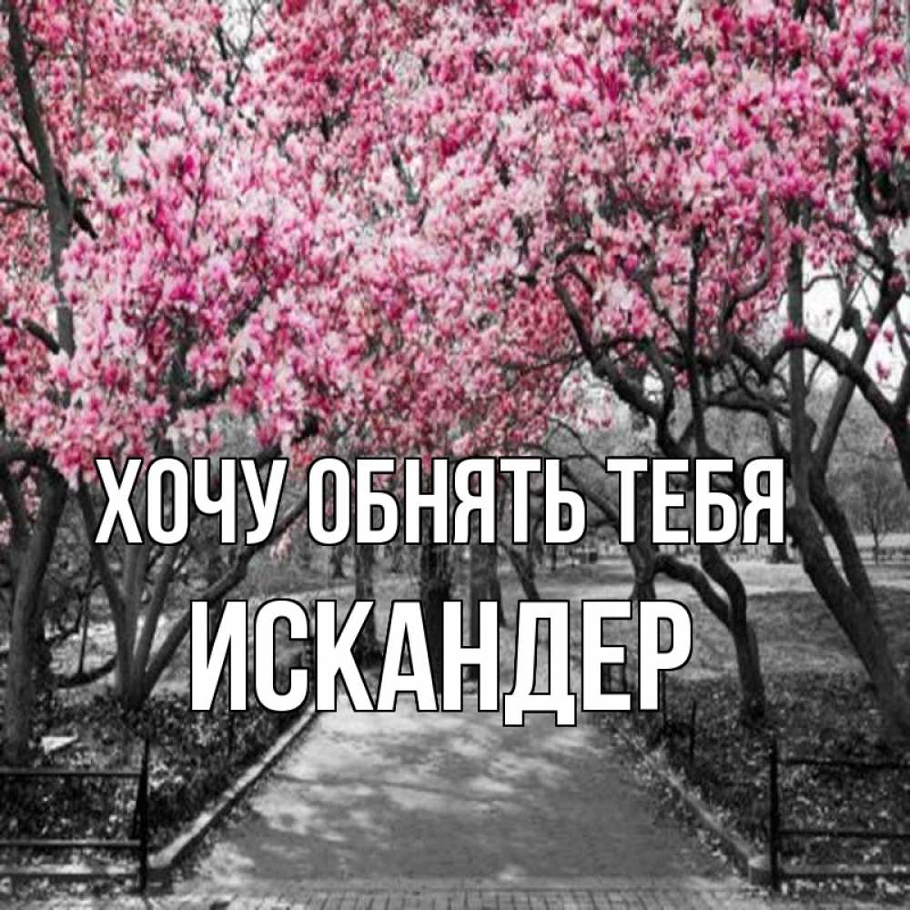 Открытка на каждый день с именем, Искандер Хочу обнять тебя обработанное фото Прикольная открытка с пожеланием онлайн скачать бесплатно 