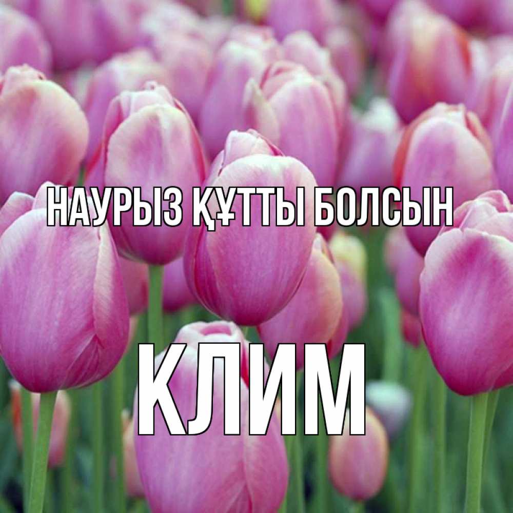 Открытка на каждый день с именем, Клим Наурыз құтты болсын на наурыз  день 3 Прикольная открытка с пожеланием онлайн скачать бесплатно 