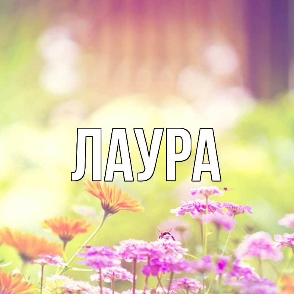 Открытка на каждый день с именем, Лаура Главная цветы весна Прикольная открытка с пожеланием онлайн скачать бесплатно 