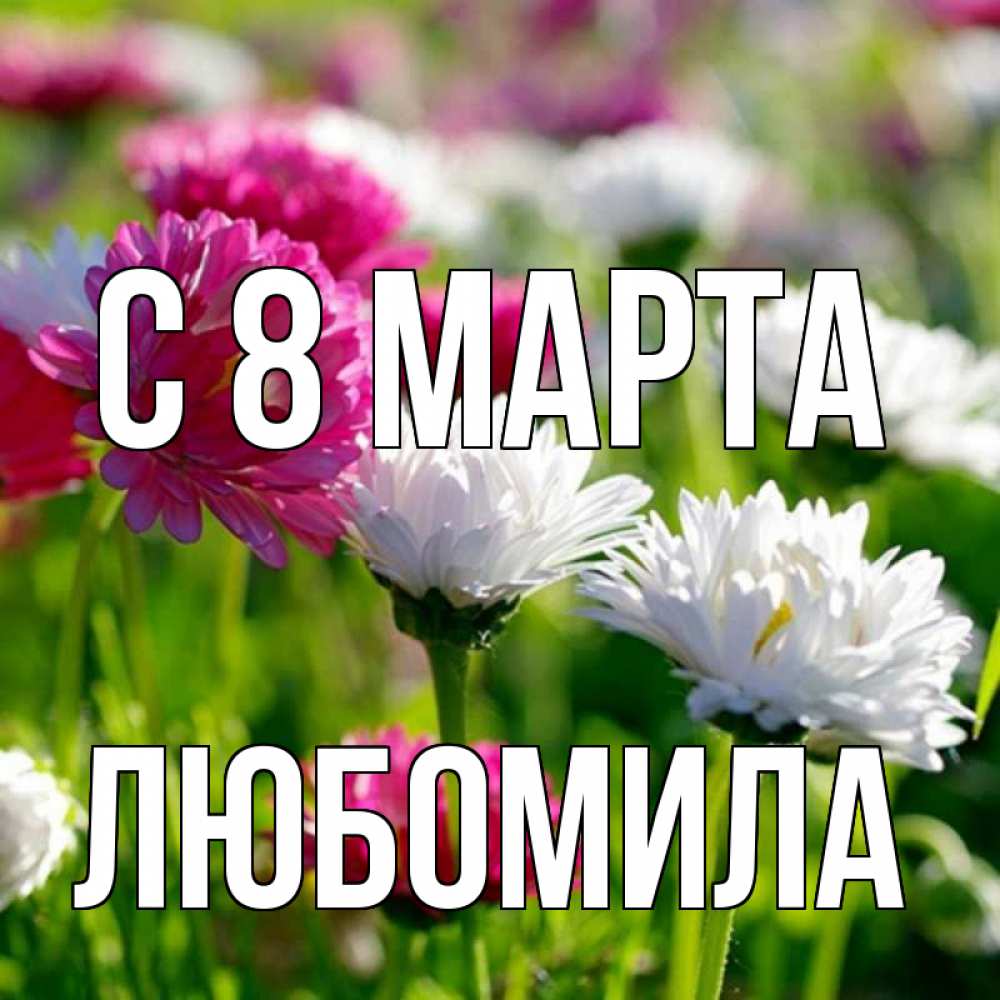Открытка на каждый день с именем, Любомила С 8 МАРТА международный женский день 1 Прикольная открытка с пожеланием онлайн скачать бесплатно 
